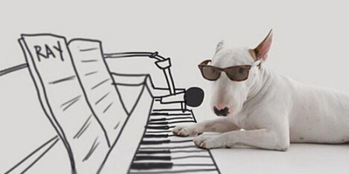 爆笑英语小笑话:会弹钢琴的狗(图)
