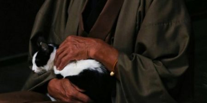 浪客剑心 续集曝伊势谷友介扮相 图 手机新浪网