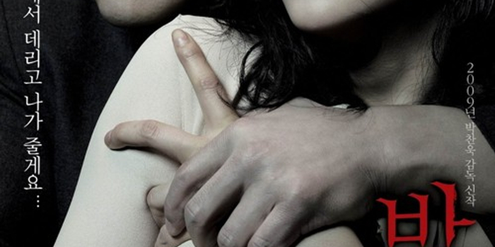2009年最具影响力的十大韩国电影-《蝙蝠》