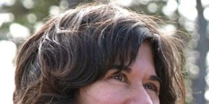 《冬天的骨头》导演将拍电影版《长袜子皮皮》