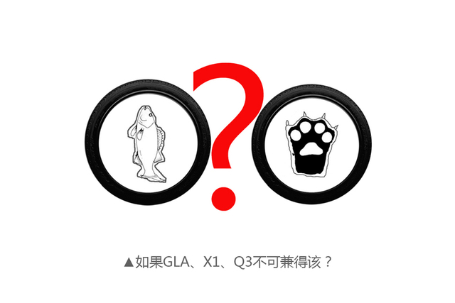 想伪装成隐形富豪 30万豪华SUV才是关键